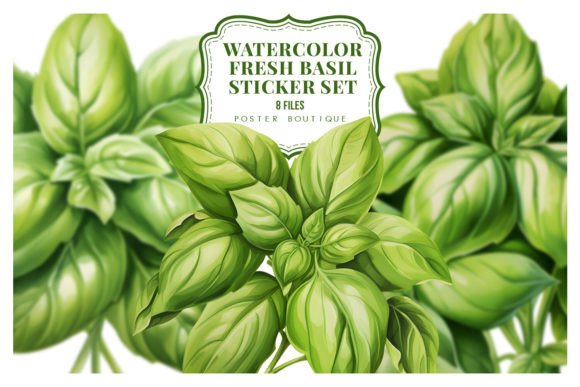 Download Watercolor Fresh Basil Clipart Set - Art Collection