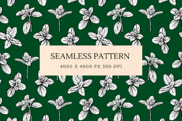 Download Basil Herb Pattern - Pattern Collection