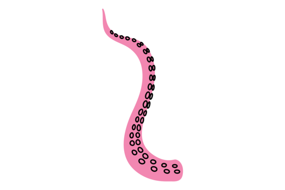 Download Cute Part Mollusk Twisted Long Limb. Oct - Art Collection