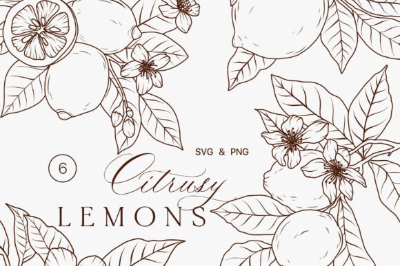 Download Lemon Fruits Line Art Clipart SVG - Lime - Art Collection