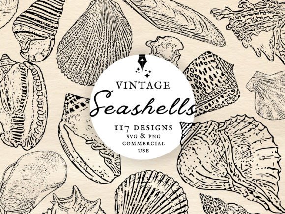 Download Vintage Seashell Clipart Set PNG &amp; SVG - Art Collection