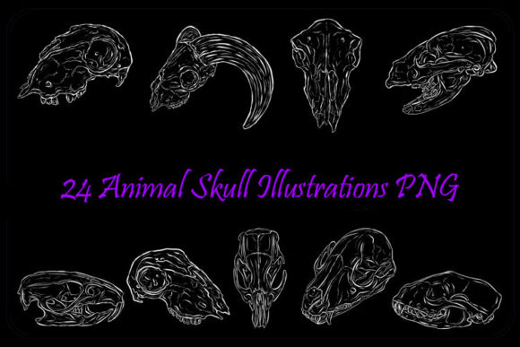Download White Line Art Animal Skull Halloween - Art Collection