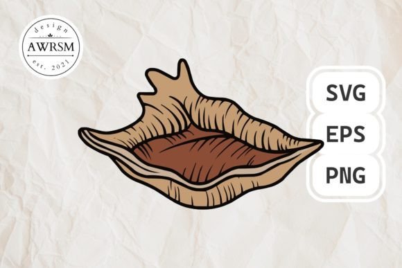 Download Clamshell SVG Vector, Seashell Clipart - Art Collection
