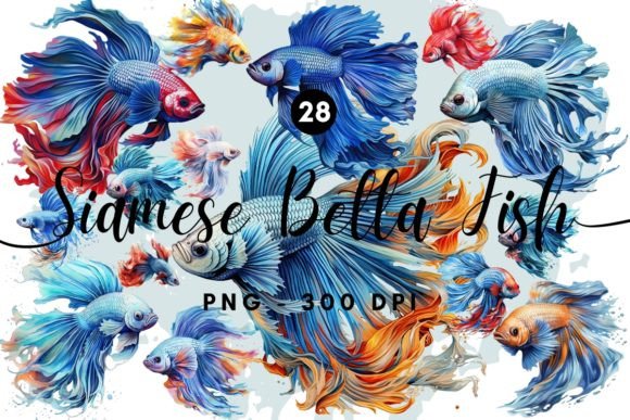 Download Siamese Betta Fish Illustration Clipart - Art Collection