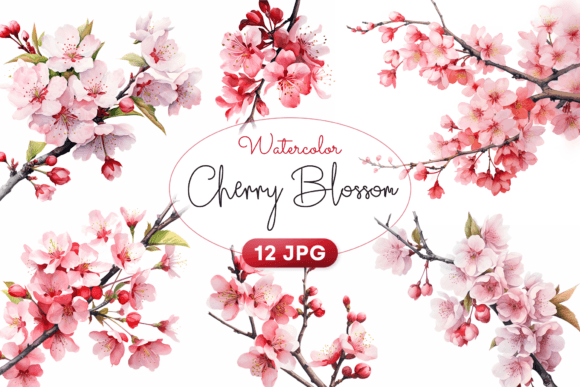 Download Watercolor Cherry Blossom Clipart - Art Collection