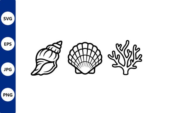Download Shell Line Art Set Conch Scallop Coral - Art Collection