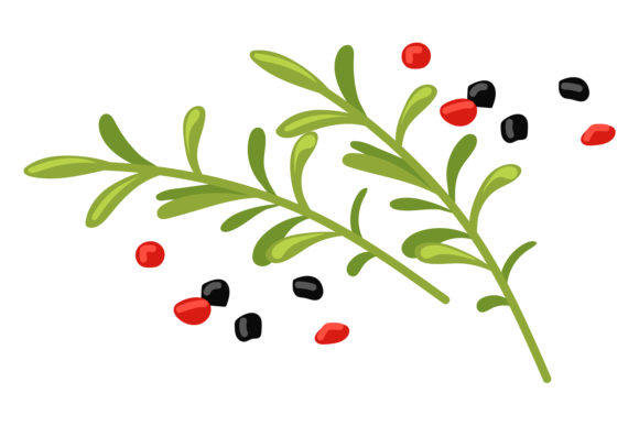 Download Cooking Herbs Cartoon Icon. Rosemary Bra - Art Collection