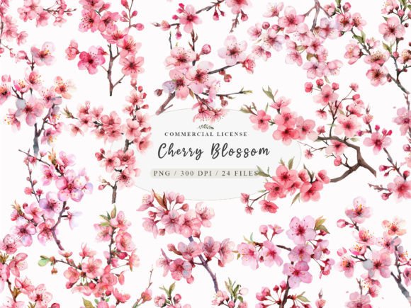 Download Watercolor Cherry Blossom Clipart, - Art Collection