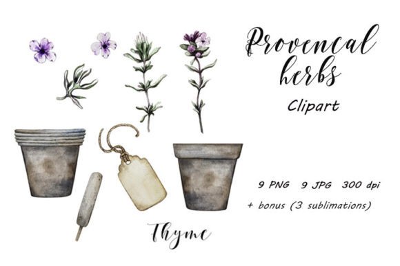 Download Provence Herbs, Thyme Clipart PNG, JPG - Art Collection
