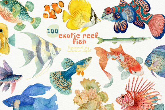 Download Watercolor Exotic Fish PNG Clipart - Art Collection