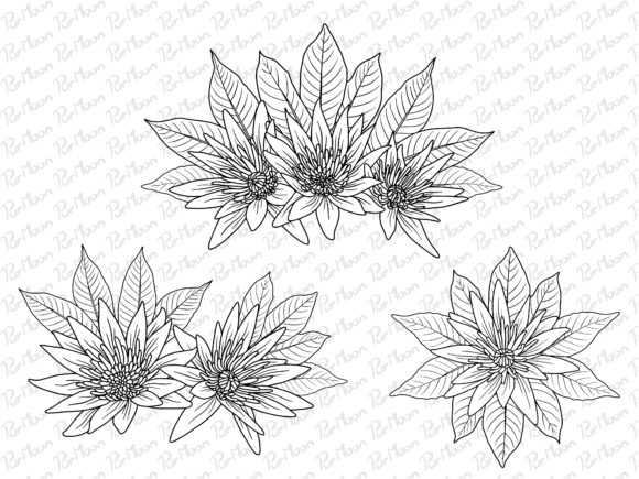 Download Flowers Line Art Arrangements - Art Collection