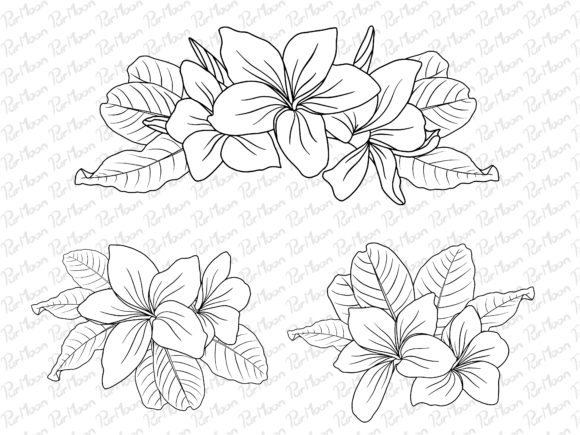 Download Flowers Line Art Arrangements - Art Collection