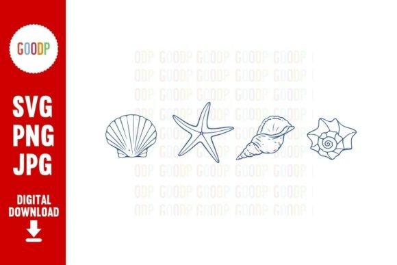 Download Coastal Seashell Line Art PNG - Art Collection