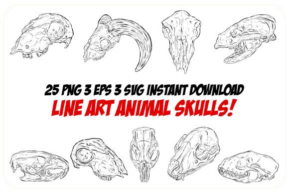 Download Line Art Animal Ram Sheep Skulls Horns - Art Collection