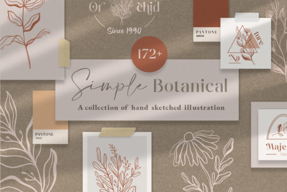 Download Simple Botanical Line Art Flowers - Art Collection