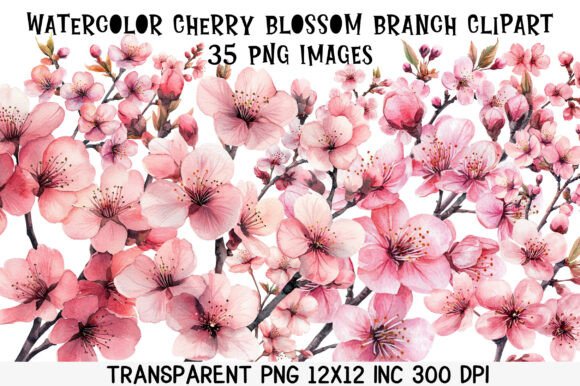 Download Watercolor Cherry Blossom Branch Clipart - Art Collection