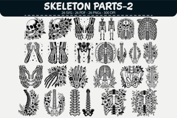 Download Skeleton Parts Vector Clipart – 26 Desig - Art Collection