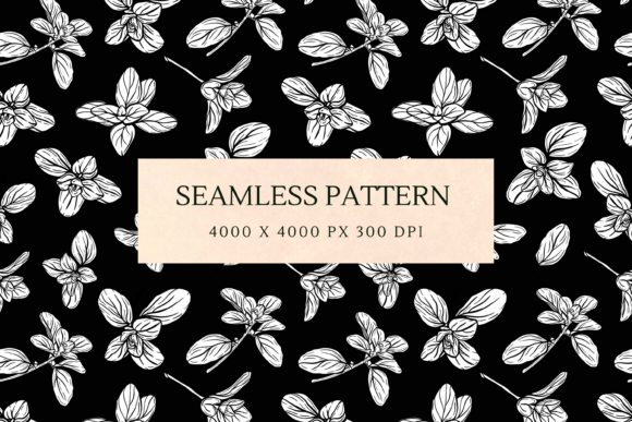 Download Basil Pattern - Pattern Collection