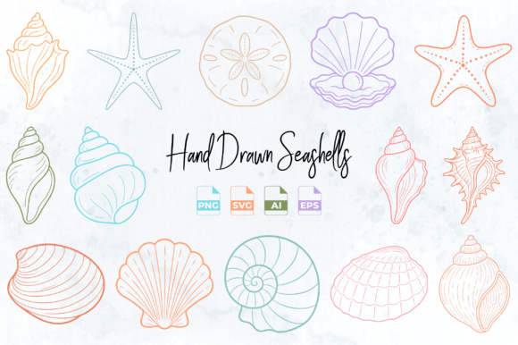 Download Hand Drawn Seashell Clipart PNG SVG - Art Collection