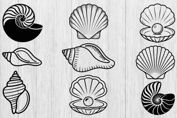 Download Seashell Svg Bundle, Shell Clipart Svg - Art Collection