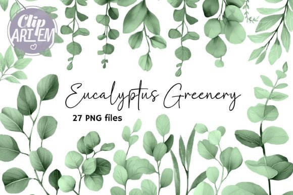 Download Eucalyptus Greenery ClipArt 27 PNG Sage - Art Collection