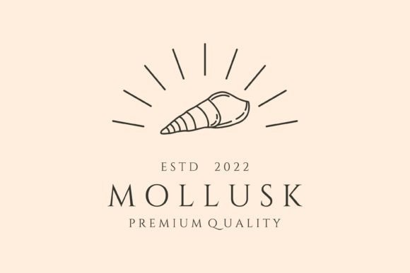 Download Mollusk and Sunburst Line Art Logo - Art Collection