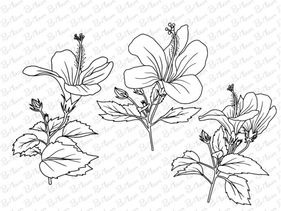 Download Line Art Flowers Arrangements - Art Collection